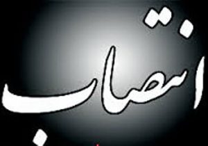 news-img731 news-img731