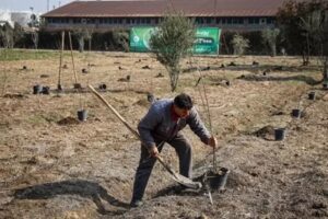 0187486275 0187486275